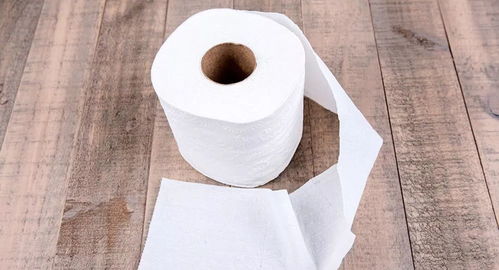 德媒呼吁 放棄衛生紙，反思一次性醫療用品使用